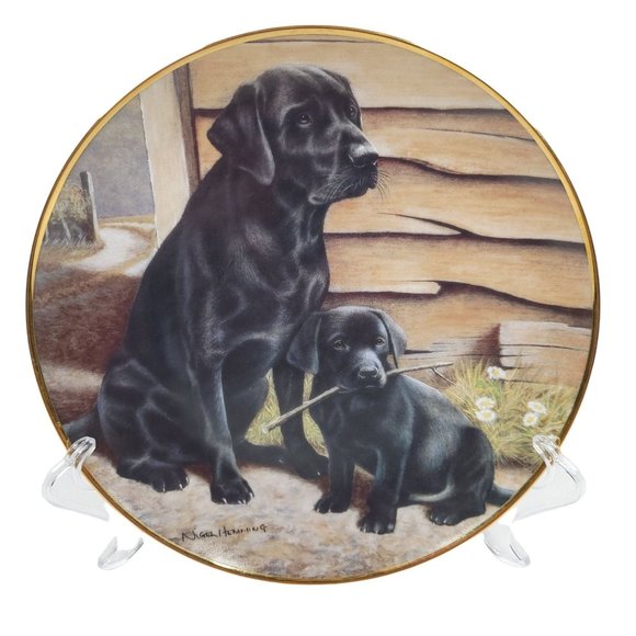 Royal Doulton Black Labrador Collector Plates Set of 4 Franklin Mint Puppies 8" - Picture 5 of 11
